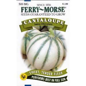  Ferry Morse 2157 Cantaloupe Seeds, Santon (Charantais 