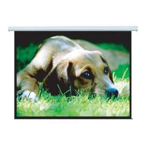    Electric Projection Screen (100 inch, 43)