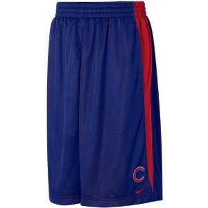    Nike Chicago Cubs Royal Blue Rundown Mesh Shorts