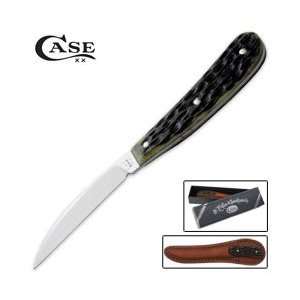 Case Knives 20111 Desk Fixed Blade Knife with Olive Green Jigged Bone 