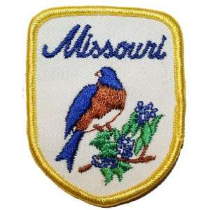  E600 Missouri State Bird Travel Souvenir Patch Everything 