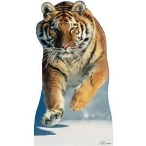  Tiger in Snow Animal Stand Up 
