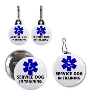  Creative Clam Blue Service Dog In Training Medical Alert 