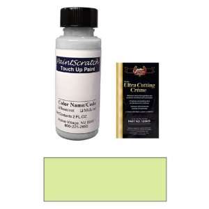  2 Oz. Yellowish Green (Single Stage) Paint Bottle Kit for 