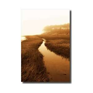  Harkers Island Marsh I Giclee Print
