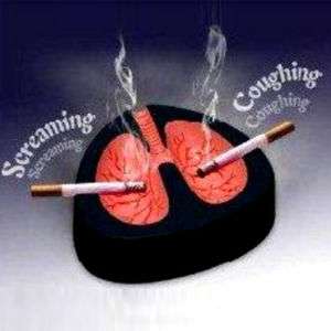 Quit Smoking Cigar Ashtray Coughing Screaming Lung  