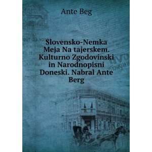   Zgodovinski in Narodnopisni Doneski. Nabral Ante Berg Ante Beg Books