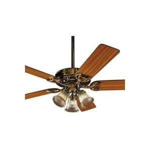   Bright Brass 5 SwitchBlade Ceiling Fan   28611/28611