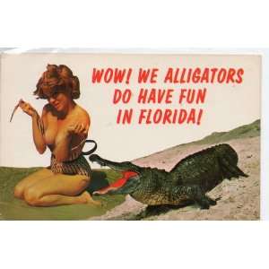  Post Card Wow We Alligators Do Have Fun in Florida, Fun 