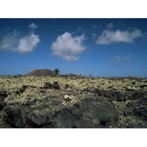 Volcanic Landscape, Lanzarote, Canary Islands, Spain Photographic 