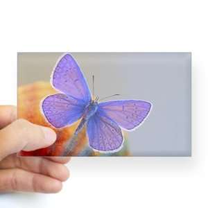    Sticker Clear (Rectangle) Xerces Purple Butterfly 
