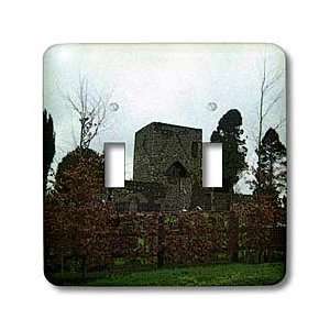   in Ireland Texturized   Light Switch Covers   double toggle switch