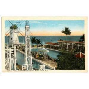 Reprint Roman Pools, Miami Beach Casino, Miami Beach, Fla  