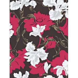 Wallpaper Steves Color Collection   Brown BC1581449 