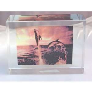 Killer Whales / Orcas Playing in Sunset Laser Art Crystal Paperweight