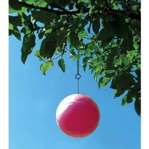  25 Count Bulk Red Sphere Traps 95106 [Set of 25]