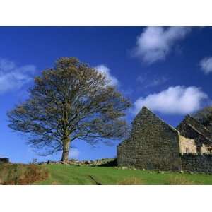 Countryside Near Old Bewick, Northumbria, England, United Kingdom 