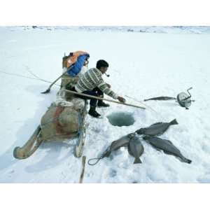 Inuit Man Fishing for Halibut, Eastern Area, Greenland, Polar Regions 
