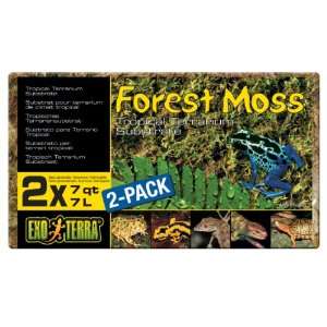  Exo Terra Forest Plume Moss, 7 Quarts, 2 Pack Pet 