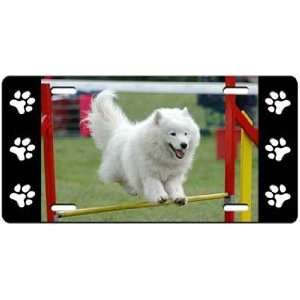  Samoyed License Plate