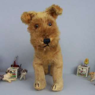 Awesome dog   Irish Terrier   1930s NR  