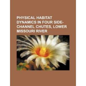  Physical habitat dynamics in four side channel chutes 