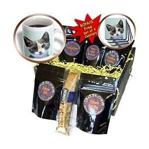   gray and white kitten face   Coffee Gift Baskets   Coffee Gift Basket