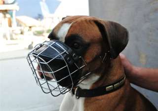Muzzle For Dog Wire Basket Size #8   Ridgeback Male  