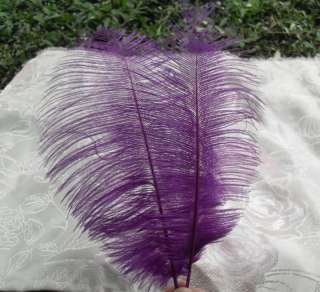 2pcs Hot Beautiful Purple Ostrich Feathers About 7 9inches  