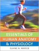 Essentials of Human Anatomy & Elaine N. Marieb