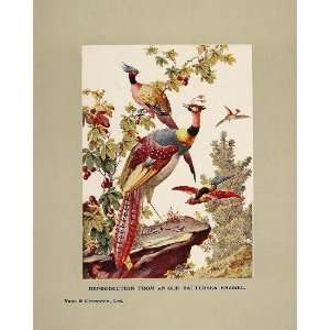   Print Battersea Enamel Birds Vaus & Crampton NICE   Original Print