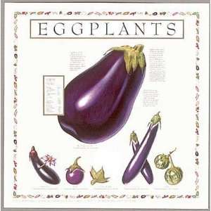  Eggplants by Naomi Weissman. Size 16.00 X 16.00 