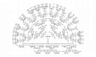 Framed Personalized Family Tree Fan Chart  