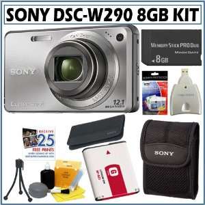  Sony Cyber Shot DSC W290 12.1 MP Digital Camera in Silver 