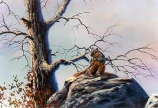 8841 SQUIRREL ON ROCK   DVD (Acrylic) 91 minutes