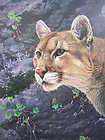 Alan Hunt Solitaire Mountain Lion Cougar LTD ED Print