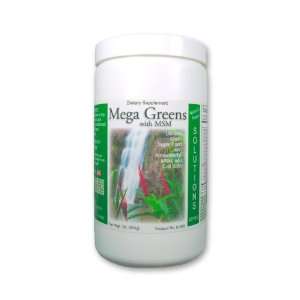 Greens plus MSM, Amazing Green Superfood Powder, Natural Daily Energy 