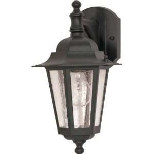  Nuvo 60/990 Arm Down Wall Lantern with Clear Seeded Glass 