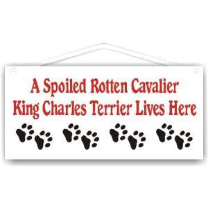  A Spoiled Rotten Cavalier King Charles Lives Here 