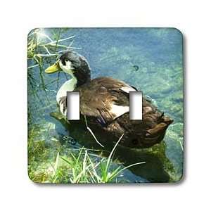  Florene Ducks   Pretty Mix   Light Switch Covers   double 