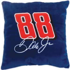   Earnhardt, Jr. National Guard 18 Square Pillow Each