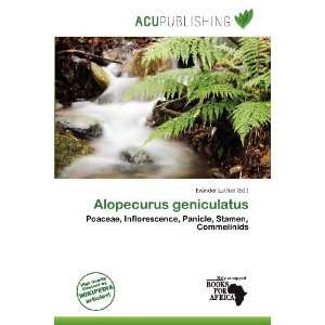    Alopecurus geniculatus (9786138468974) Evander Luther Books