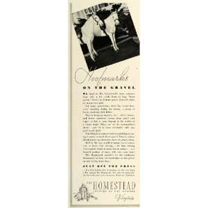  1936 Ad Homestead Hotel Hot Springs Virginia Horses 