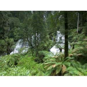 Triplet Falls, Otway National Park, Victoria, Australia 