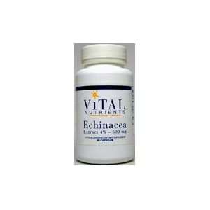  Echinacea Extract 4%   500mg by Vital Nutrients Health 