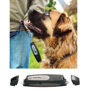   DOG e Walk Premium Dog Trainers Premium Trainer