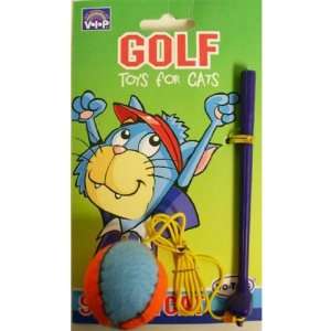  Teaser Wand Hole in One Cat Toy Toys & Games