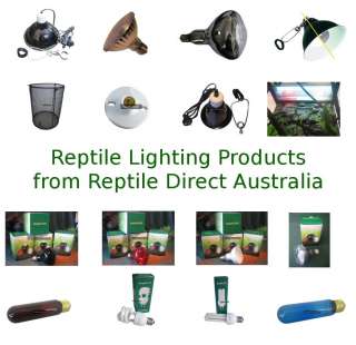 Buy all your reptile products from the one place, combine shipping 