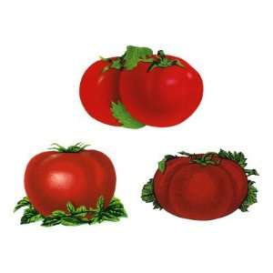  Tomato Varietals Giclee Poster Print