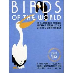  BIRDS OF THE WORLD AMERICAN US USA VINTAGE POSTER REPRO 